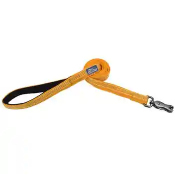 Brights Reflective Dog Leash - Desert 5/8" X 06'