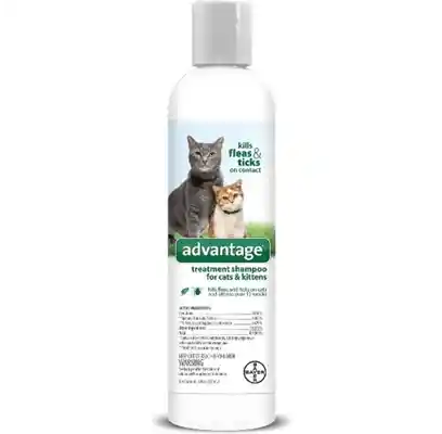 Advantage F/t Shampoo Cat & Kittens 8 Oz