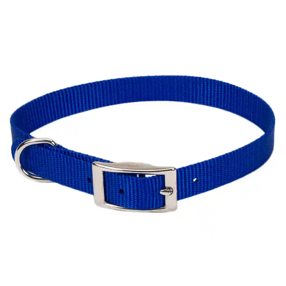 Single-ply Dog Collar, Blue, 5/8" X 14"