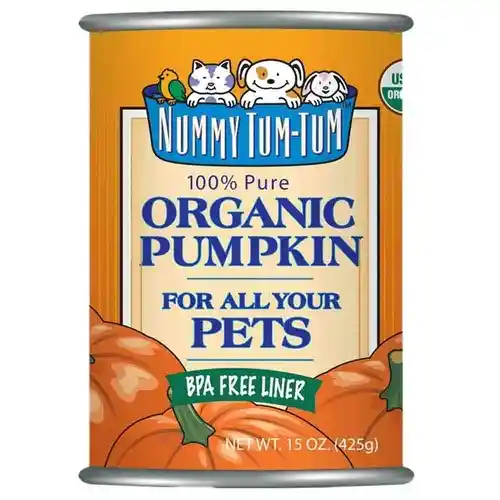 Nummy Tum Tum Organic Canned Pumpkin Dog 15 Oz