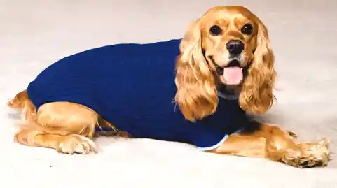 Classic Sweater Small-blue