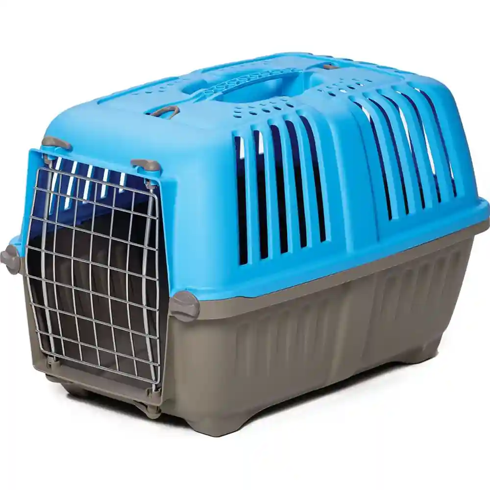 1419spb Spree Blu Pet Carr 19"