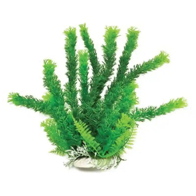 Plant Cabomba Green 16"