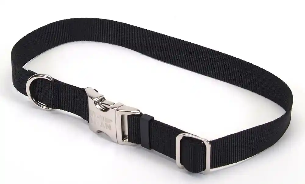 Adjustable Dog Collar With Metal Buckle, Black, 3/4" X 14" - 20"