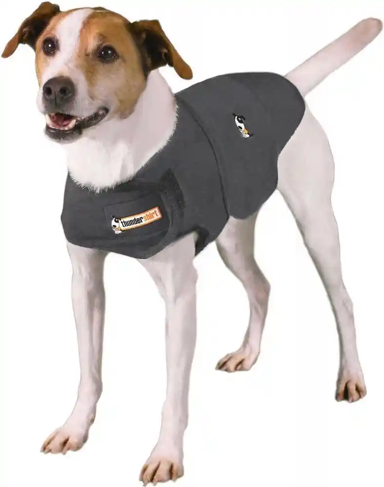 Anxiety Solution For Dogs 2x-small