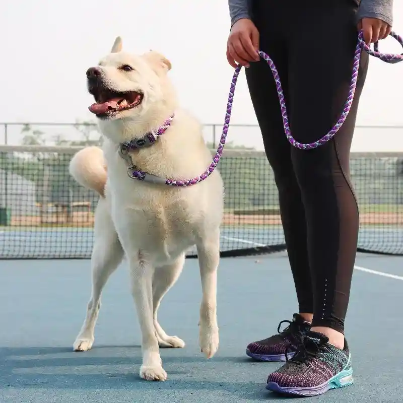 Pro Active Woven Reflective Collar Rope Leash