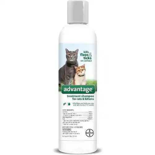 Advantage F/t Shampoo Cat & Kittens 8 Oz