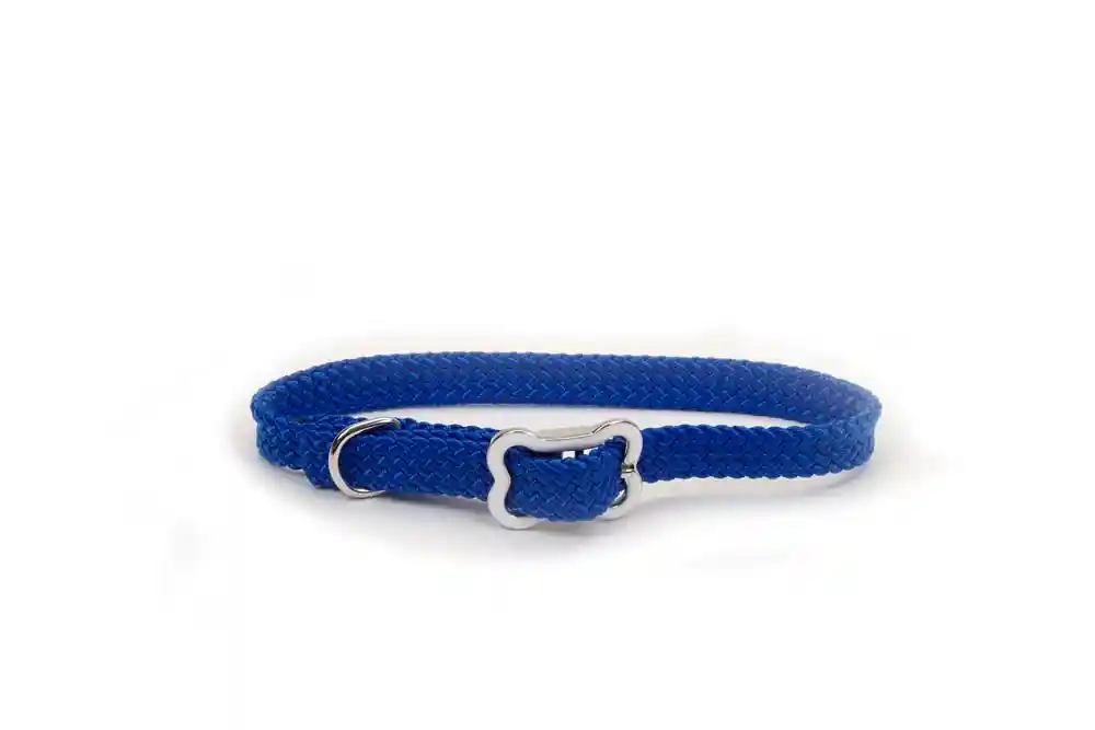 Dog Collar With Bone Buckle, Blue, 3/8" X 12"