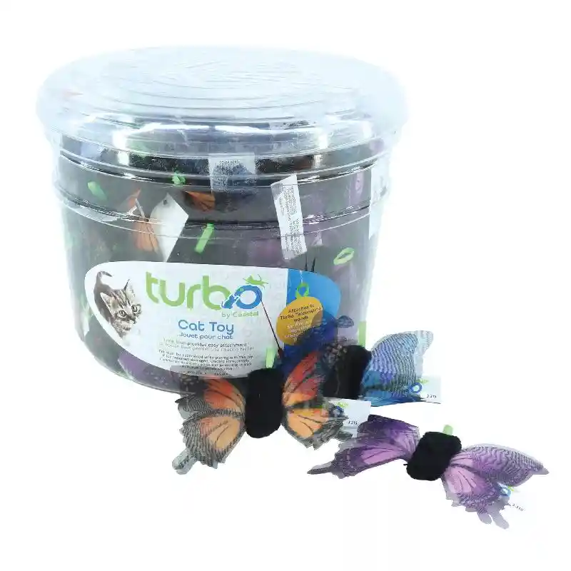 Shimmer Butterfly