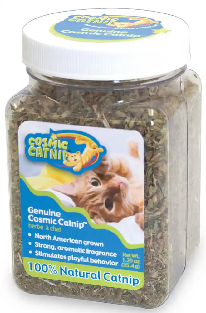 Cosmic Catnip Cup 2.25oz
