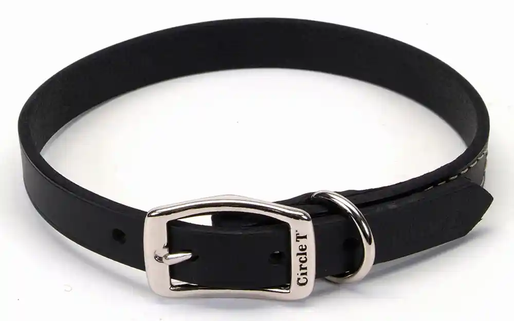 Oak Tanned Leather Town Dog Collar, Black, 1" X 18"