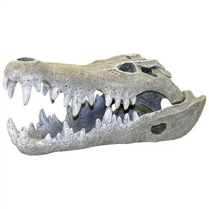 Ornament Nile Croc Skull Small