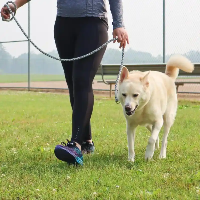Pro Active Woven Reflective Collar Rope Leash North Sky