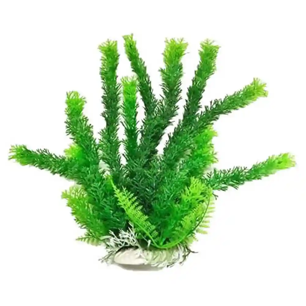 Plant Cabomba Green 9"