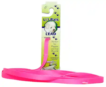 Dog Leash With E-z Snap, Neon Pink, 3/8" X 06'