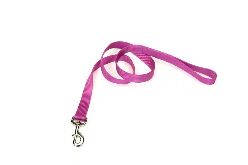 Single-ply Dog Leash, Orchid, 1" X 06'