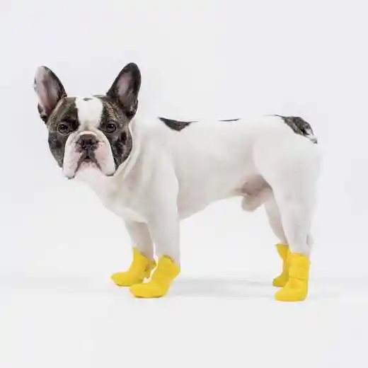 Unlined Wellies In Yellow X-small