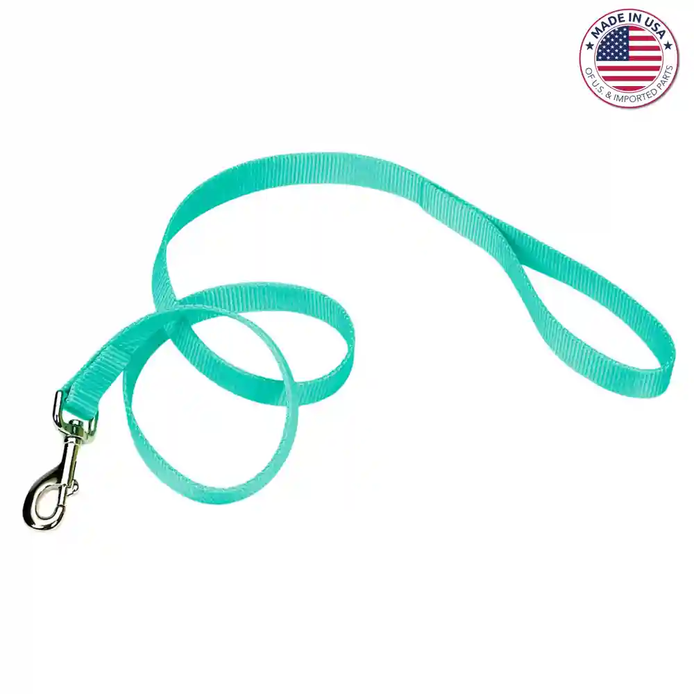 Coastal Single-ply Nylon Dog Leash Teal 1" X 6'