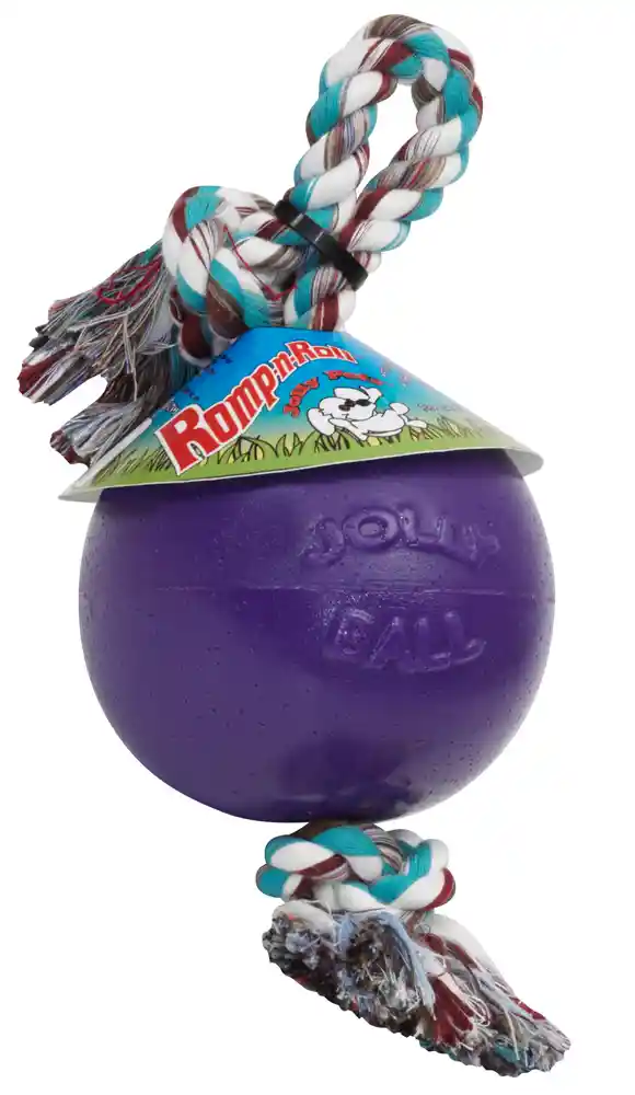 Romp N Roll 4.5" Ball Purple