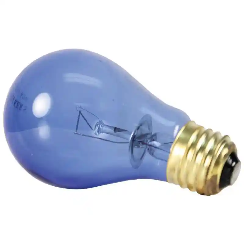Daylight Bulb For Hermit Crab 60 Watt