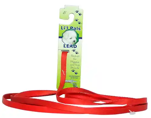 Dog Leash With E-z Snap, Red, 3/8" X 06'