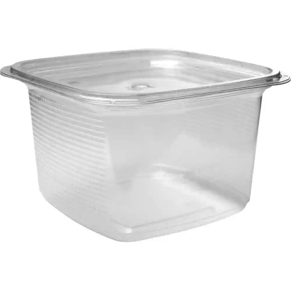Betta Store Dsp Cup 100 Ct