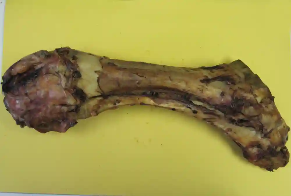 Smoked Meaty Dino Bone 14"-20"