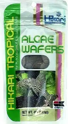 Hikari Tropical Algae Wafers 40 Gm