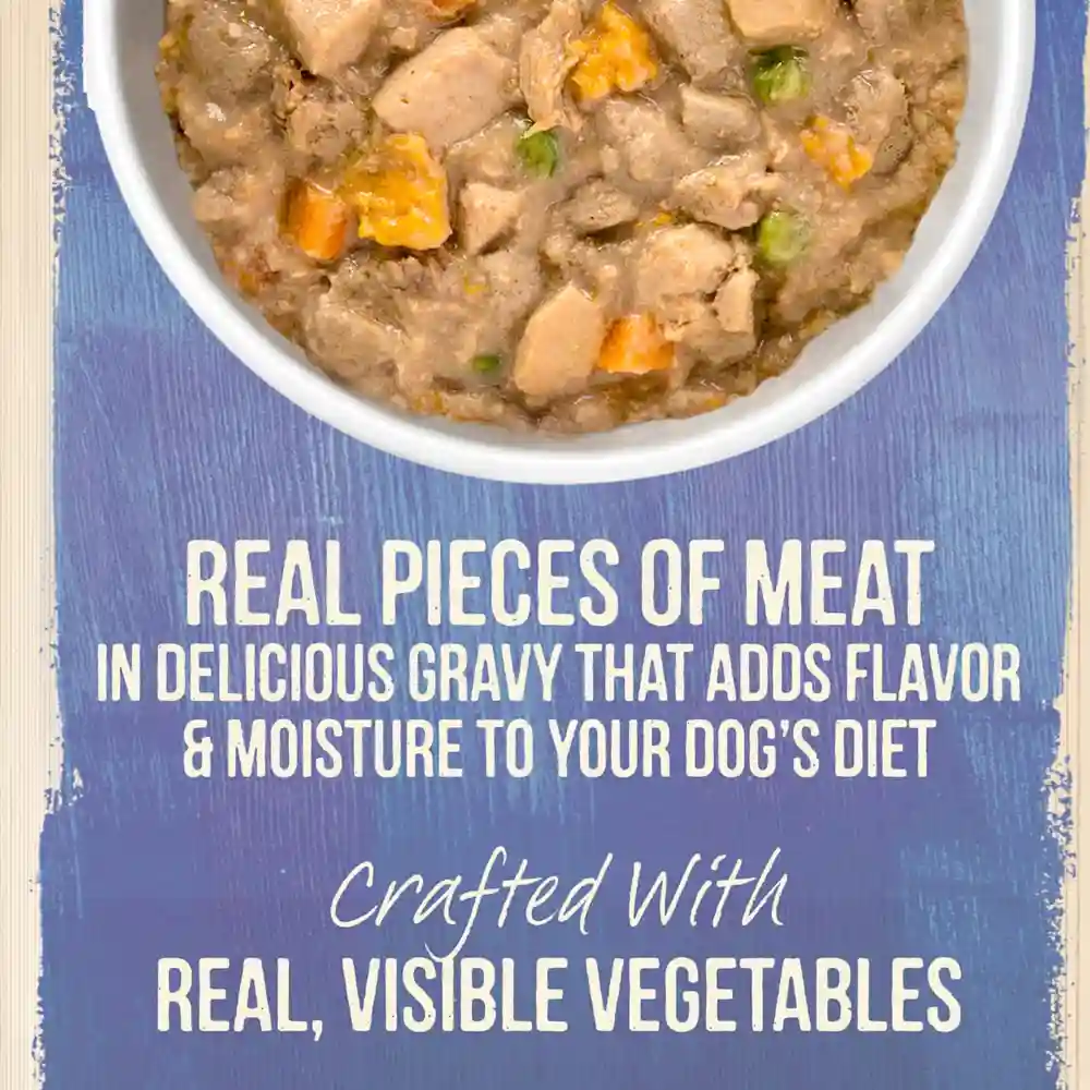 Grain-free Puppy Plate Recipe Canned Dog Food 13.2-oz
