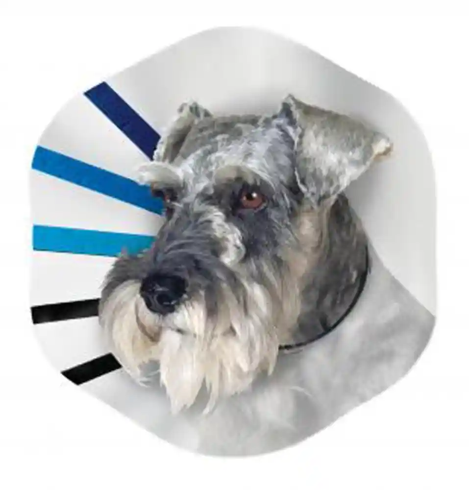 Kong E-collar Medium-assorted Colors E2