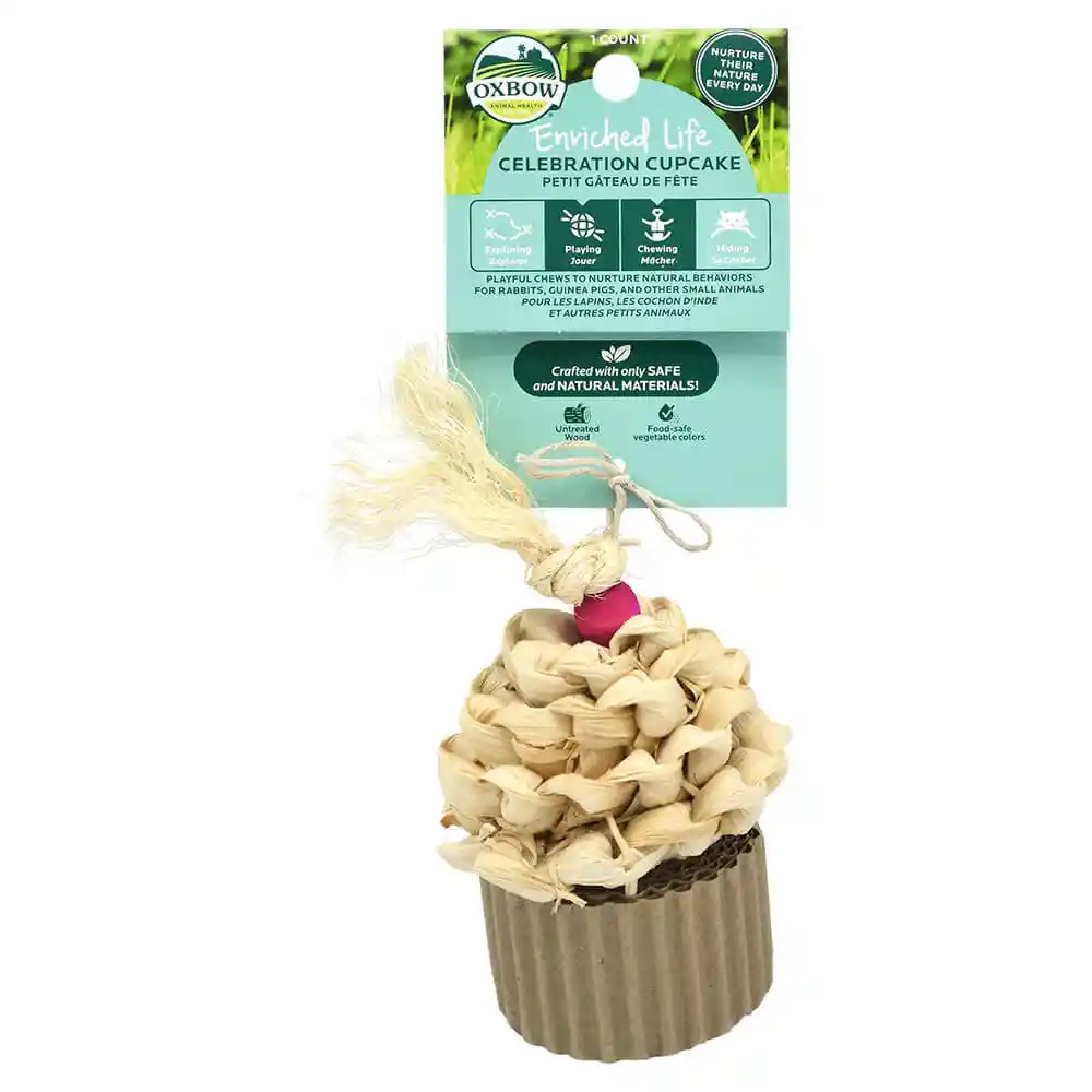 Celebration Cupcake