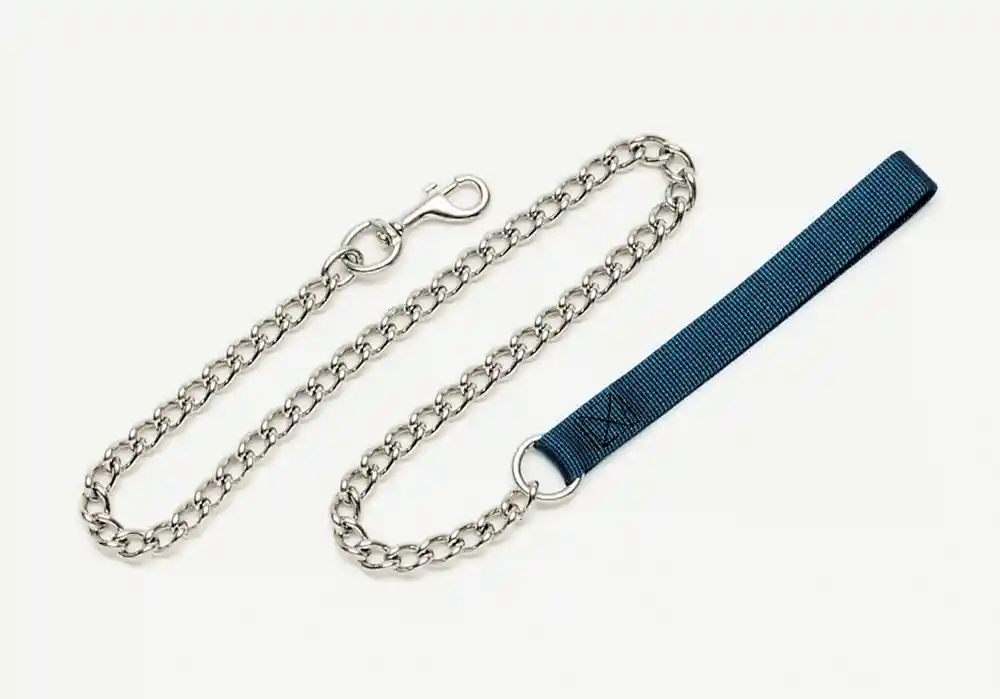 Chain Lead Fine 2.0 4'-blue