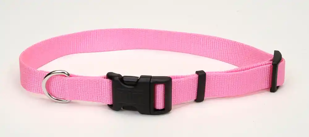 Adjustable Dog Collar With Plastic Buckle, Pink Bright, 1" X 18" - 26"