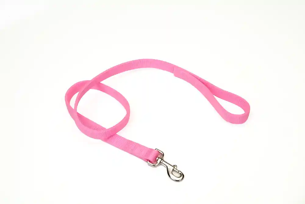 Double-ply Dog Leash, Pink Bright, 1" X 06'