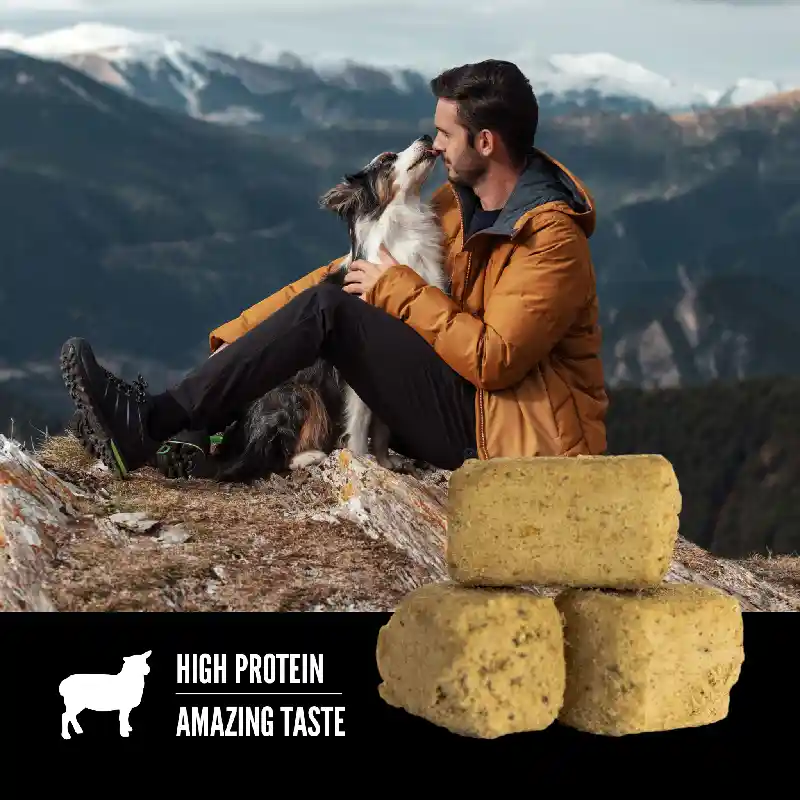 Freeze-dried Dog Treats, Grass-fed Lamb, Biologically Appropriate & Grain Free 3.25-oz
