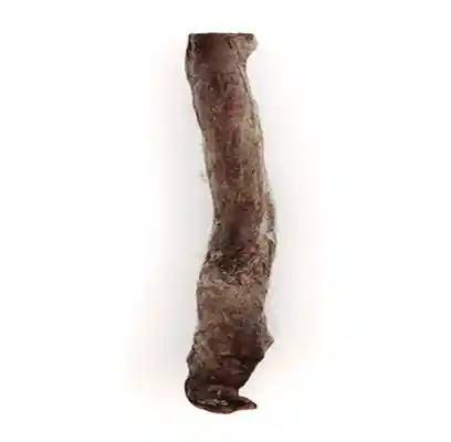 Raw Bar Freeze-dried Bully Stick Treat For Dogs 1 Stick