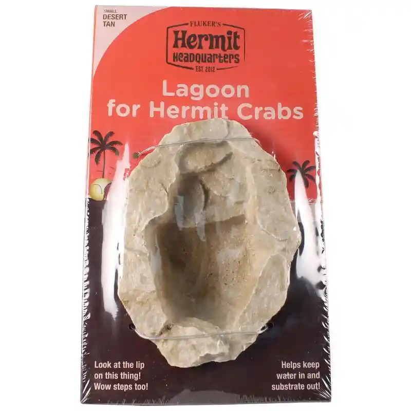 Small Lagoon For Hermit Crabs