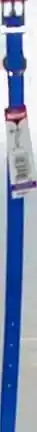 Single-ply Dog Collar, Blue, 5/8" X 14"