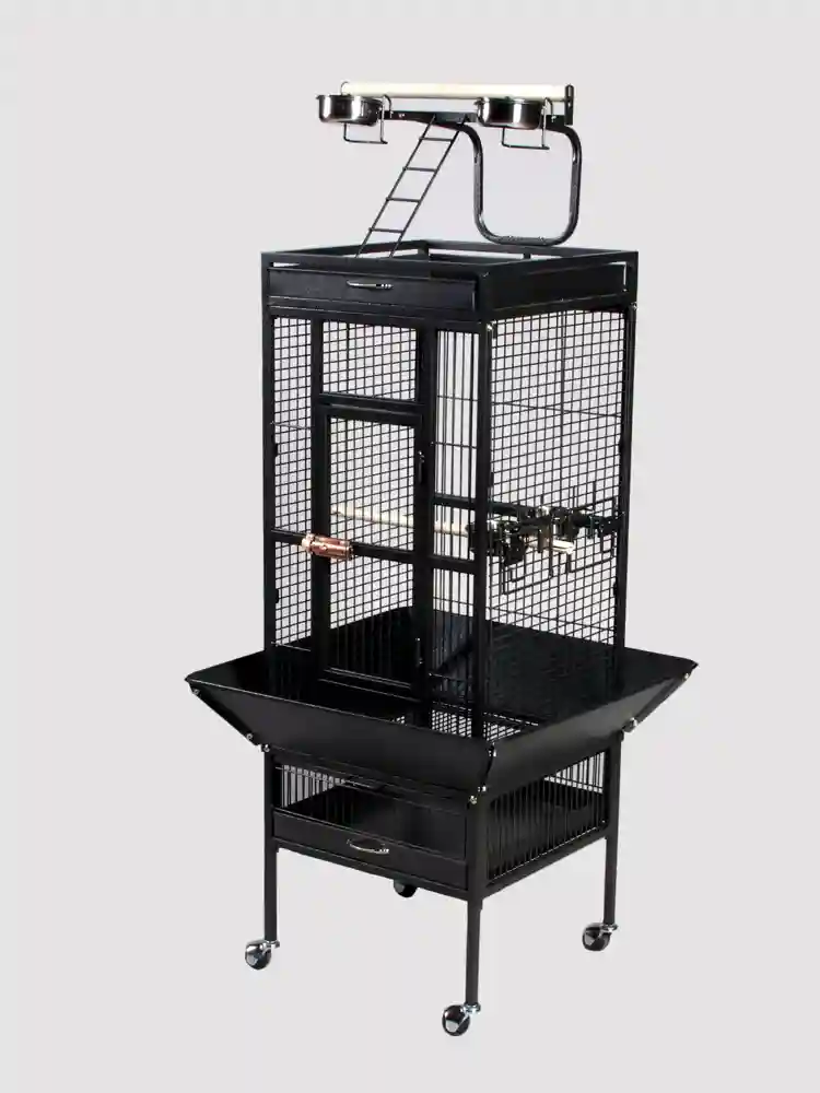 Signature Series Select Wrought Iron Cage Black 24"x20"x60"
