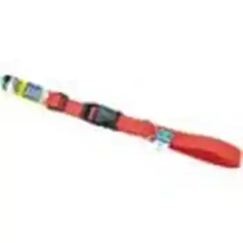 Adjustable Dog Collar With Plastic Buckle, Red, 3/4" X 14"-20"