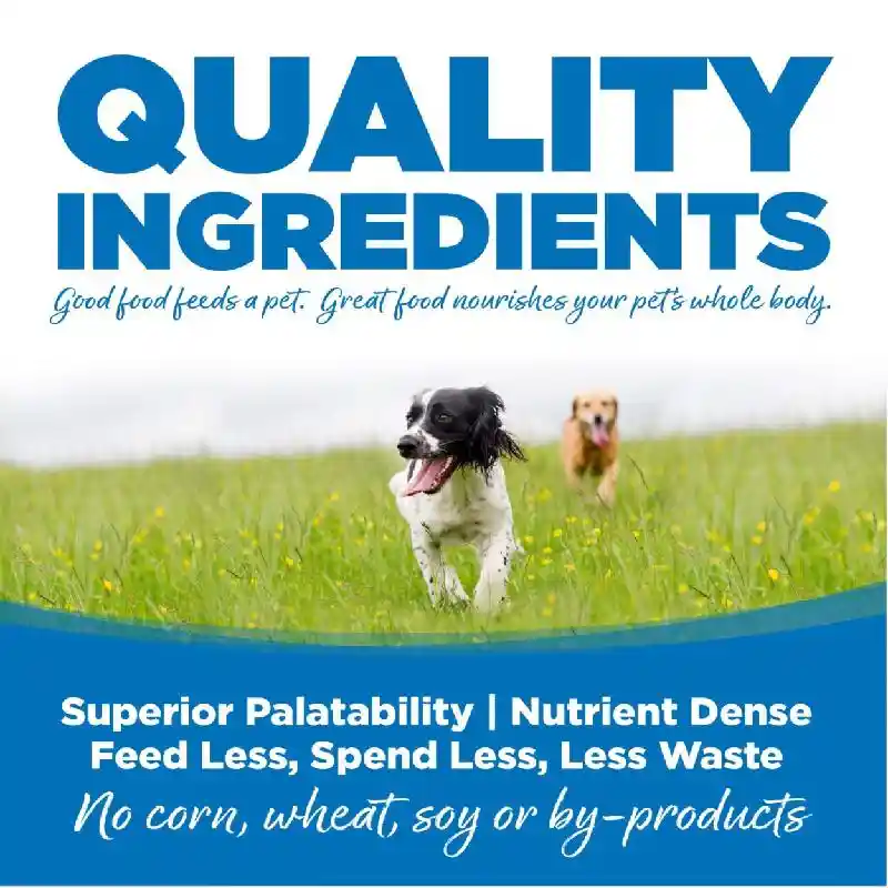 Nutrs Gf Ckn/brrc Dog 26#
