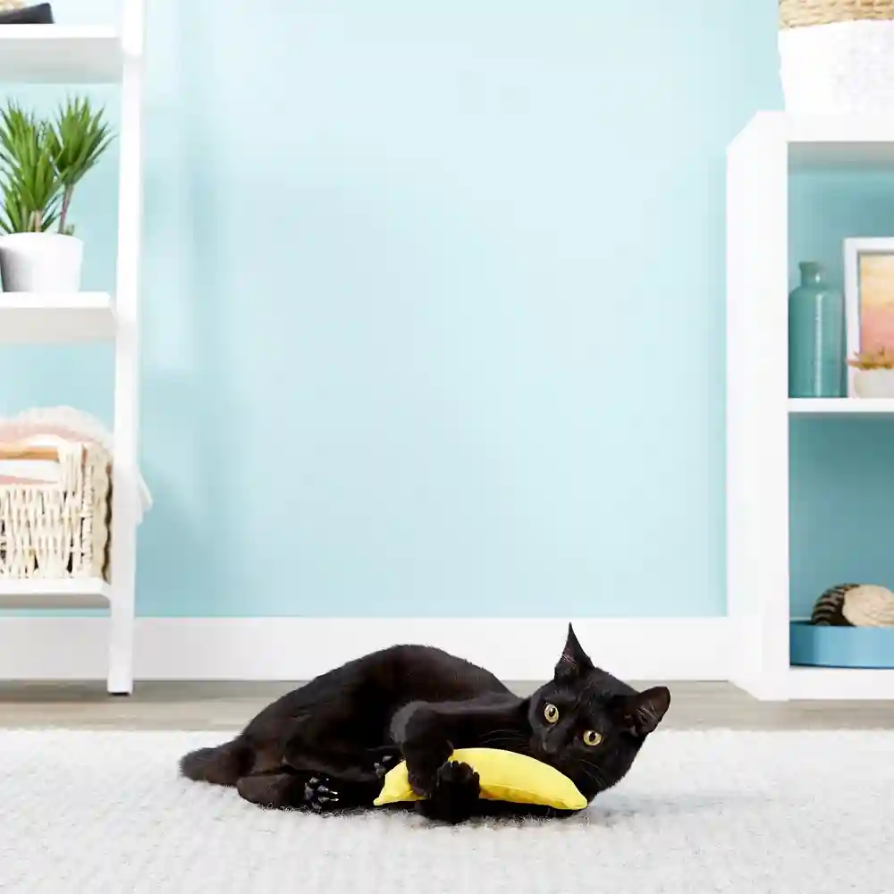 Banana Catnip Toy Banana