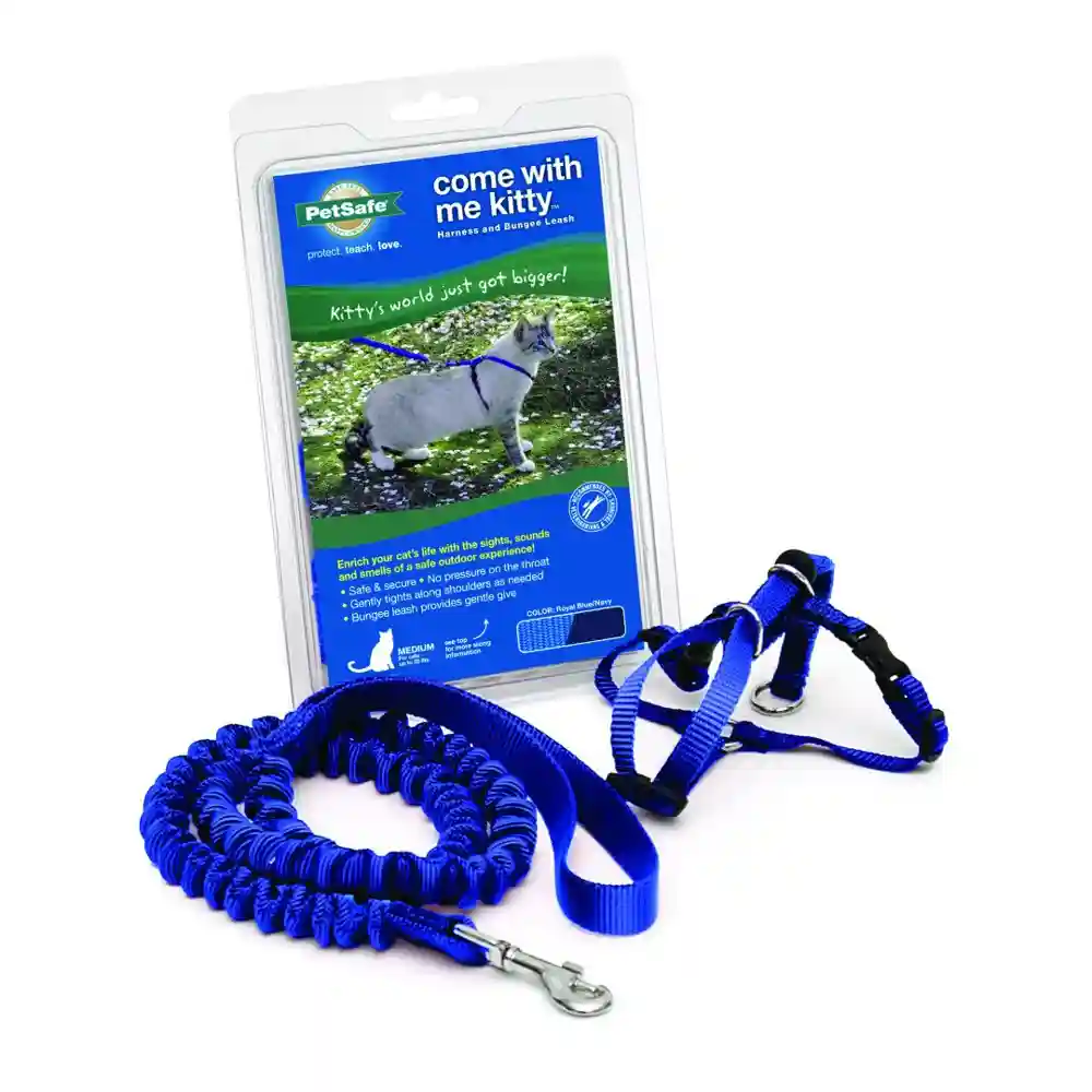 Harness & Bungee Leash Large Royal Blue