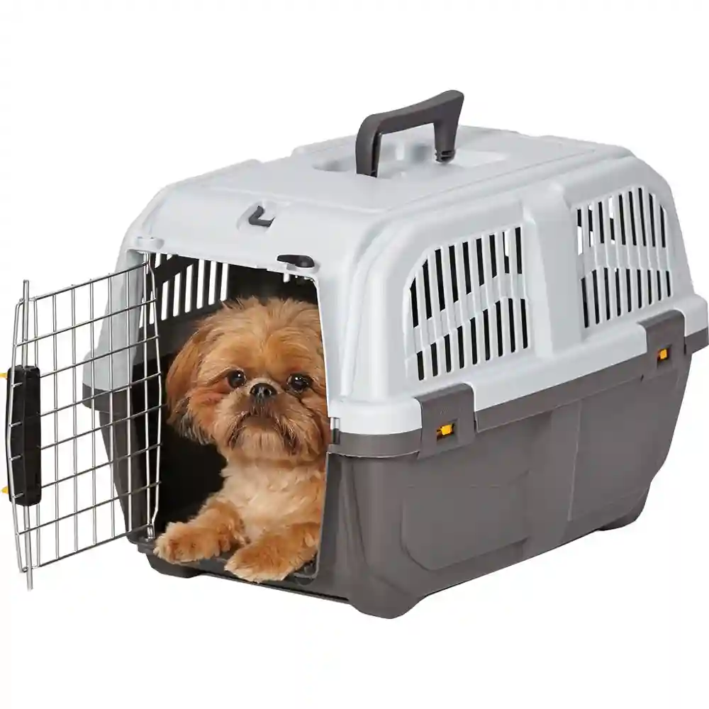 Skudo Plastic Carrier 22x14x14"