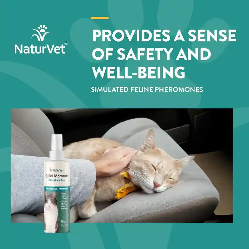 Quiet Moments Calming Spray For Cats 8 Oz