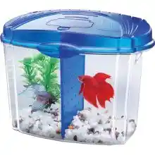 Betta Bowl Desktop Aquarium Kit 1/2 Gallon