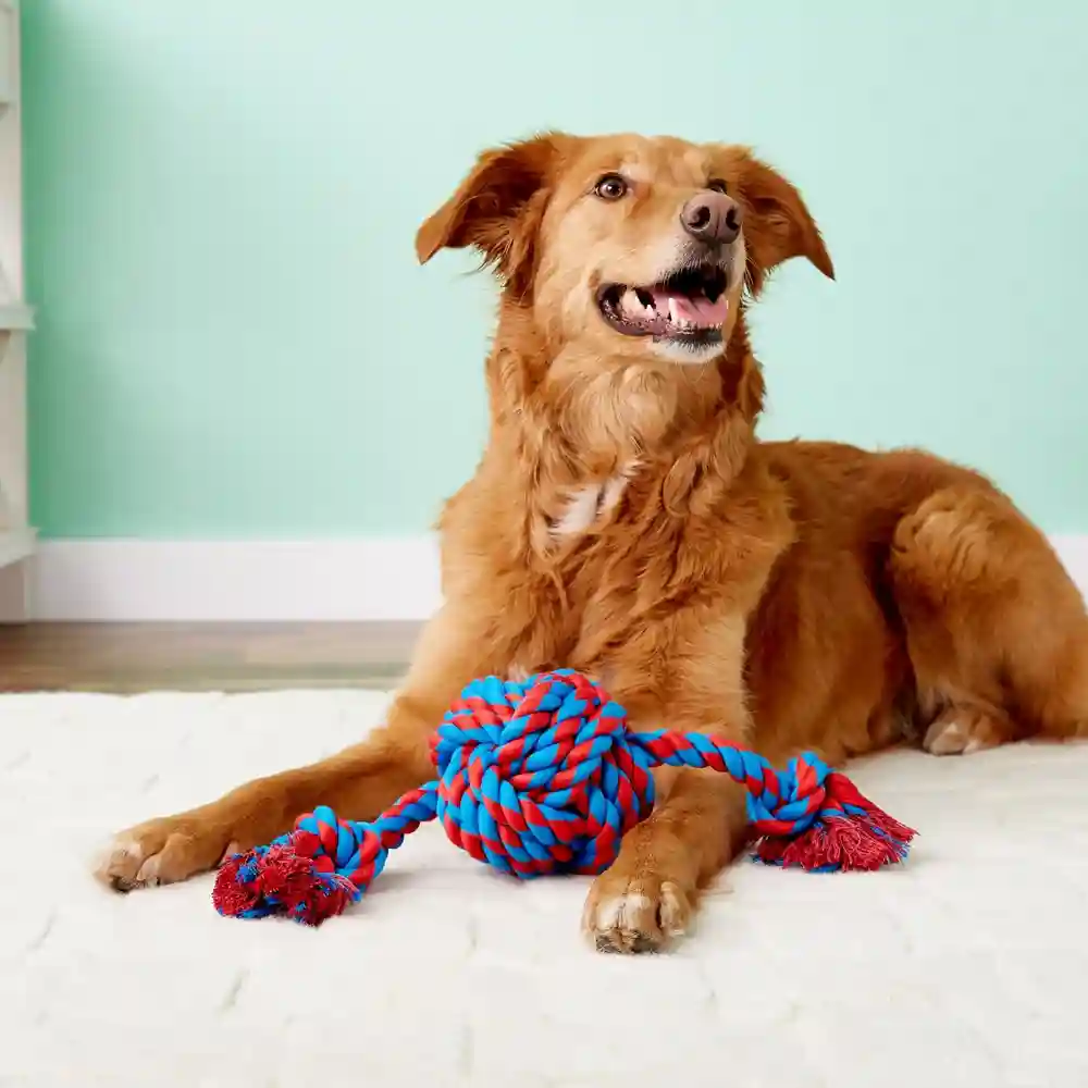 Monkey Fist Ball & Rope Ends Dog Toy 18"