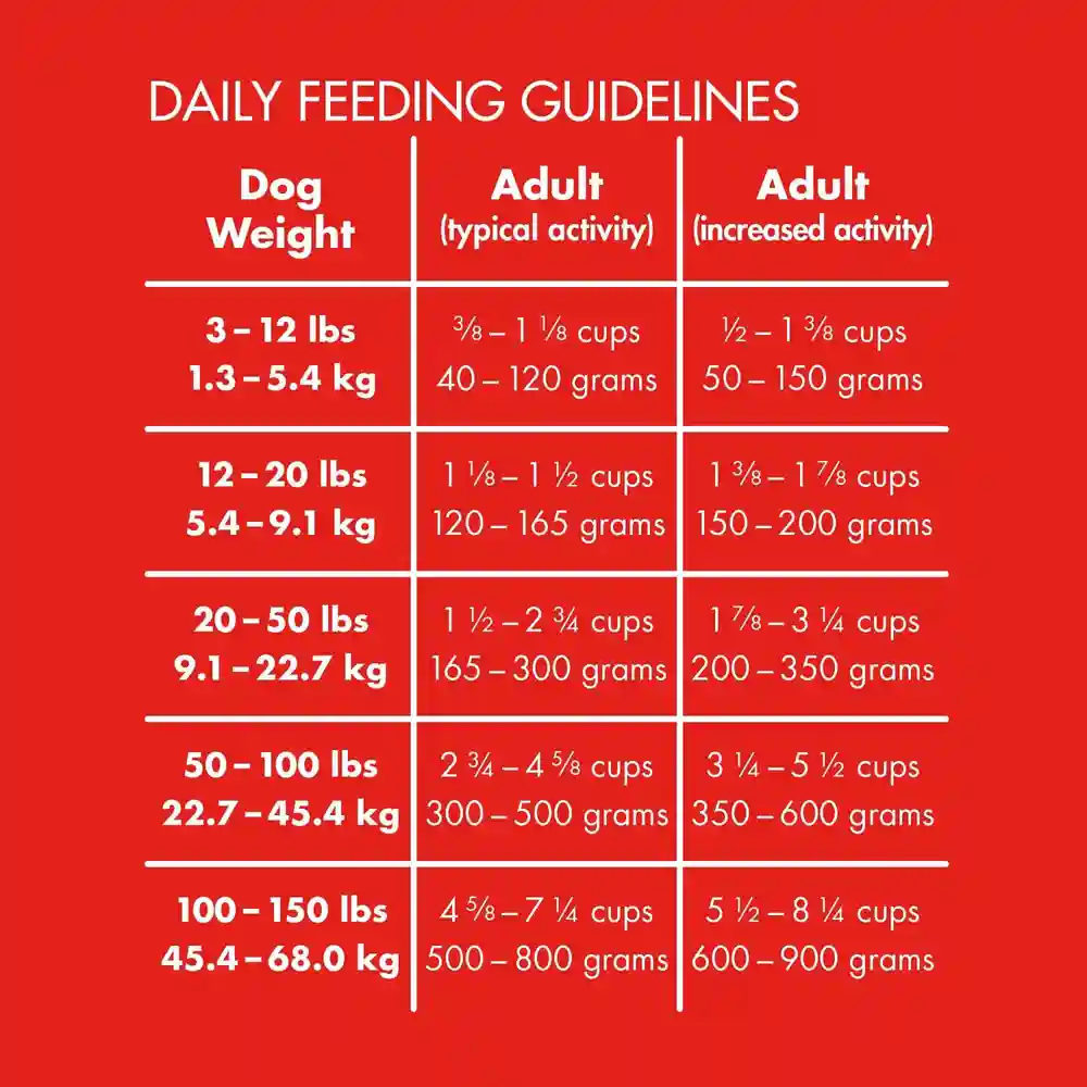 Under The Sun Grain-free Lamb Recipe Adult Dry Dog Food 24-lb