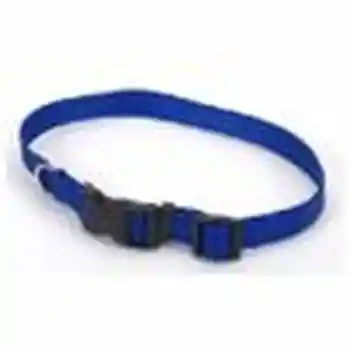 Adjustable Dog Collar With Plastic Buckle, Blue, 1" X 18" - 26"
