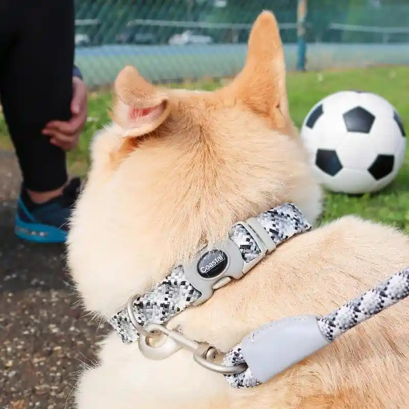 Pro Active Woven Reflective Collar Sky - 5/8"x8-12"